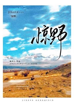 惊野笔趣阁TXT