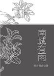 南城有雨讲了什么故事