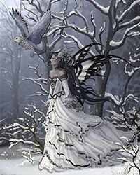 主角姜天叶无雪无弹窗阅读